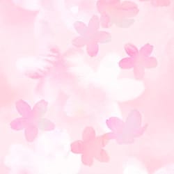 bellaxberry