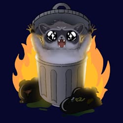 raccoondevs_io