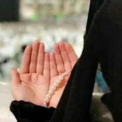 writer_fehmi