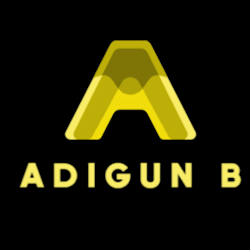 basit_adigun
