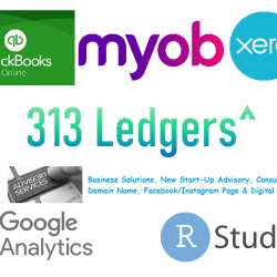 Gig Seller - ledgers313