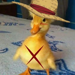duckysheesh