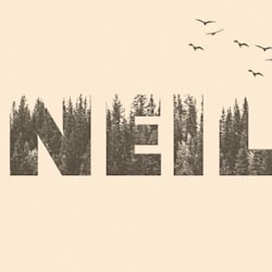 neil_stevon