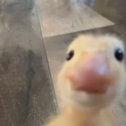 employee_00