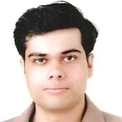 hrizvi2000