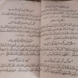 yasmeentahir635