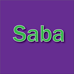 sabarafique964