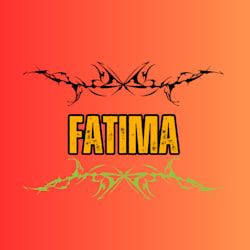 fatima_khan342