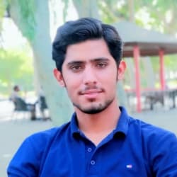 talhawriterr306