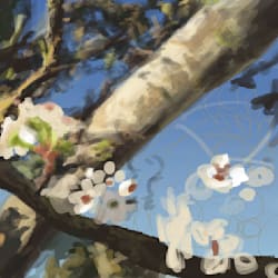 fayesprout