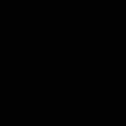 ayseozsfk