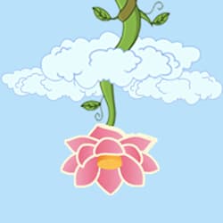 meccatree