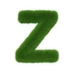 shahzaib2587
