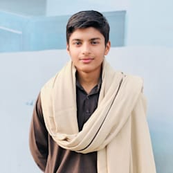 syedhameedhamza
