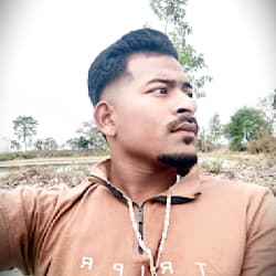 sensandy