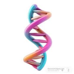 noor_phyloalign