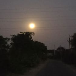 mohdzameer775