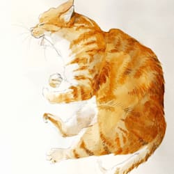 eunice_cheng