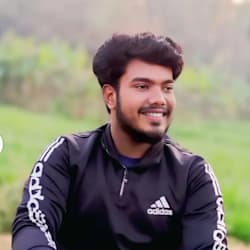 chinaranidas