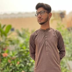 saleem_chishti