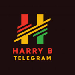 harrybav