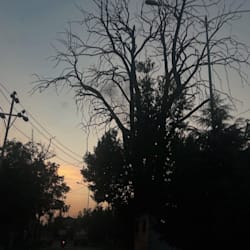 aureviastudioco