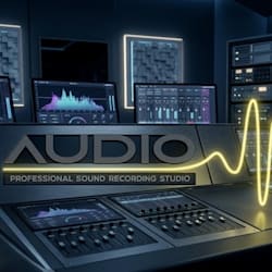 voicer221