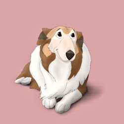 pawtoons