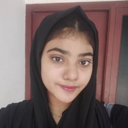 easydata_nesryy