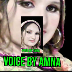 voicebyamnapk