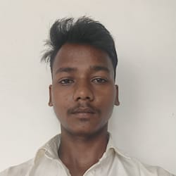sushiltypi