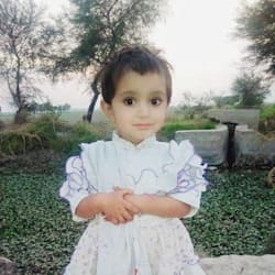 zafar_seo
