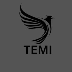temitopeobasanj