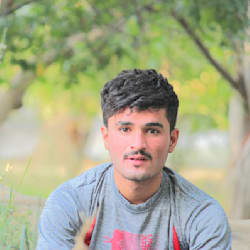 zahidalizia