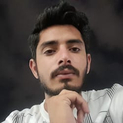 meerhamza702