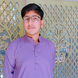 shahzaadlashari