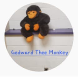 thatquaddrummer