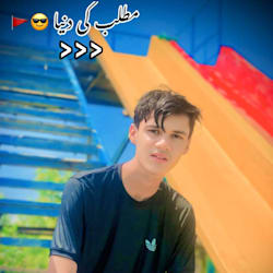 majidali7274