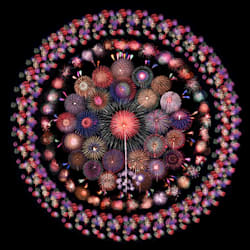 hanabi_japan