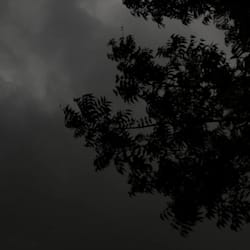u_8fa170d46859