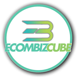 ecombizcube