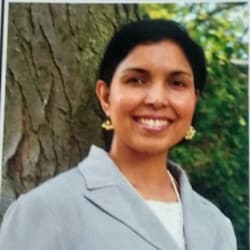 pilotveena