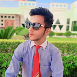 syedahmadali110
