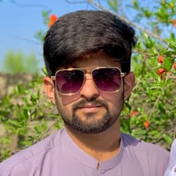 ahmed_visual