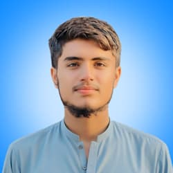 salik_19