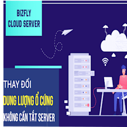 bizflyserver