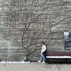 atelier_noen