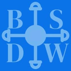 brionessdw