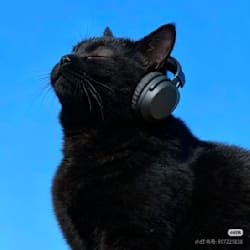 senlink