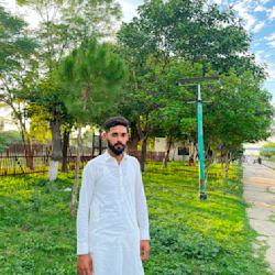 taxila_data_